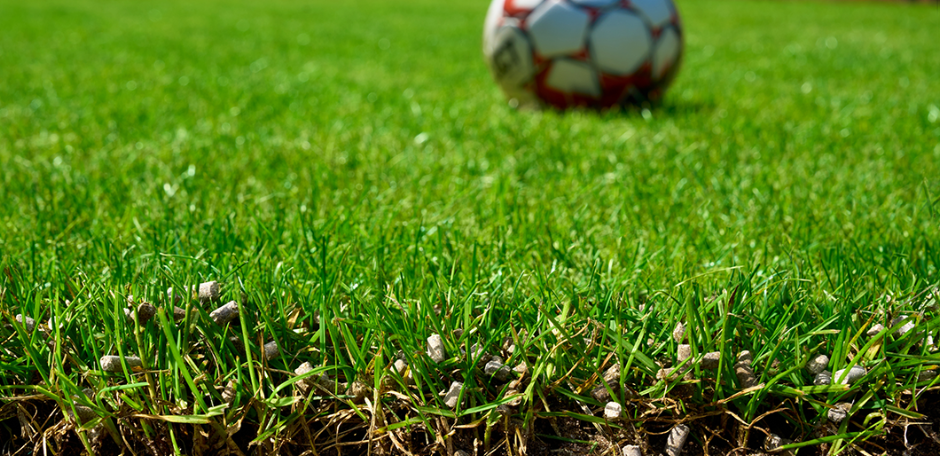 GrassLopata